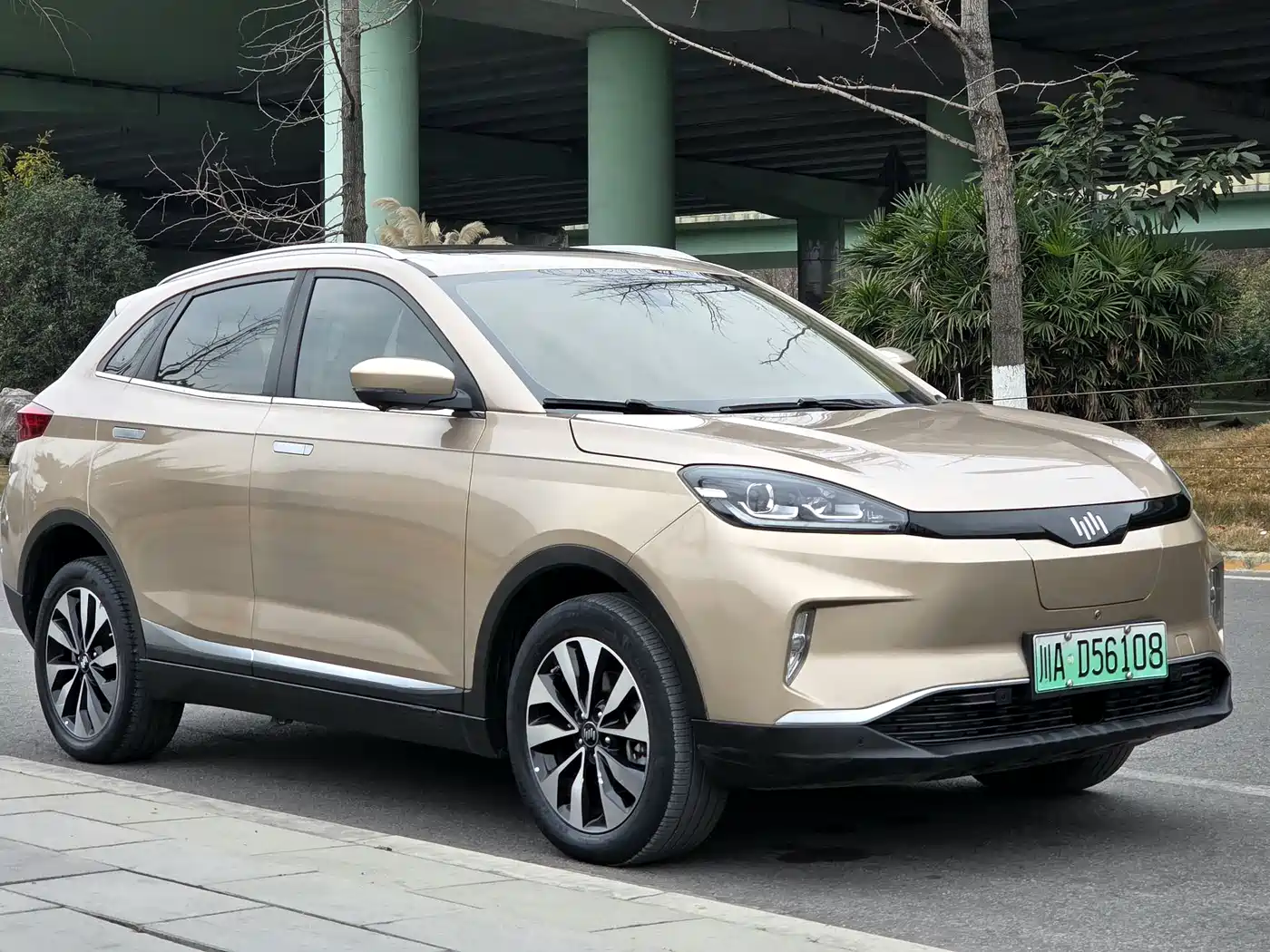 Weltmeister WEIMA EX5