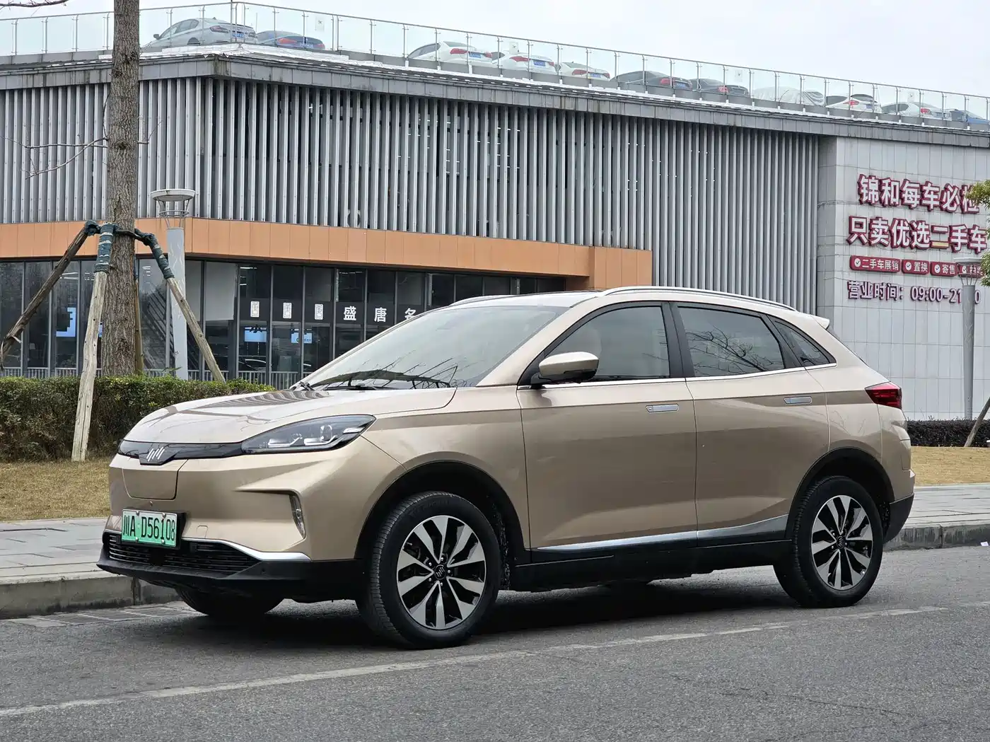 Weltmeister WEIMA EX5