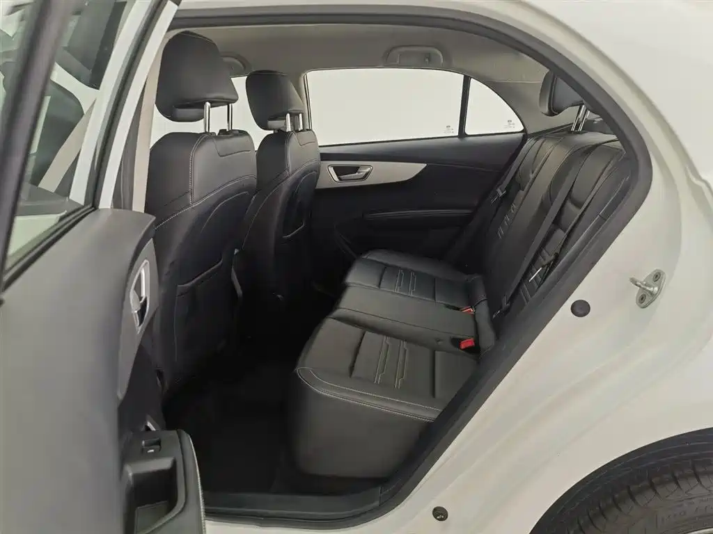 BYD Qin 2019 1.5L Automatic Luxury Edition фото 15