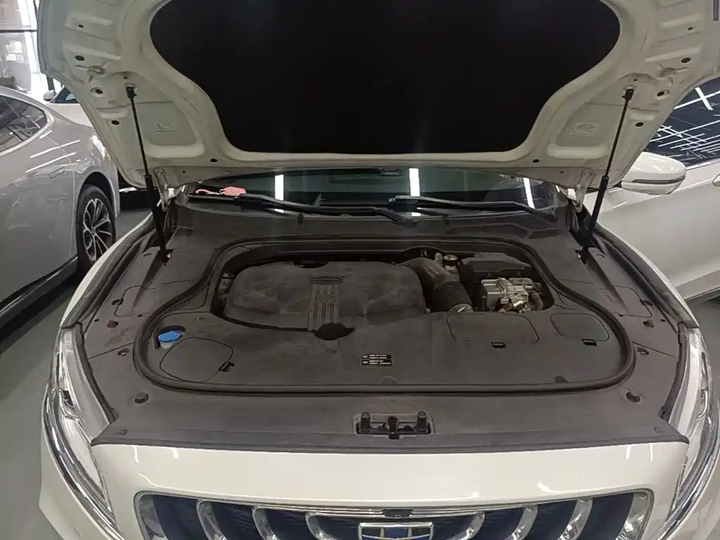 Geely Borui PHEV 2019 2018 1.5T PHEV Glory Edition