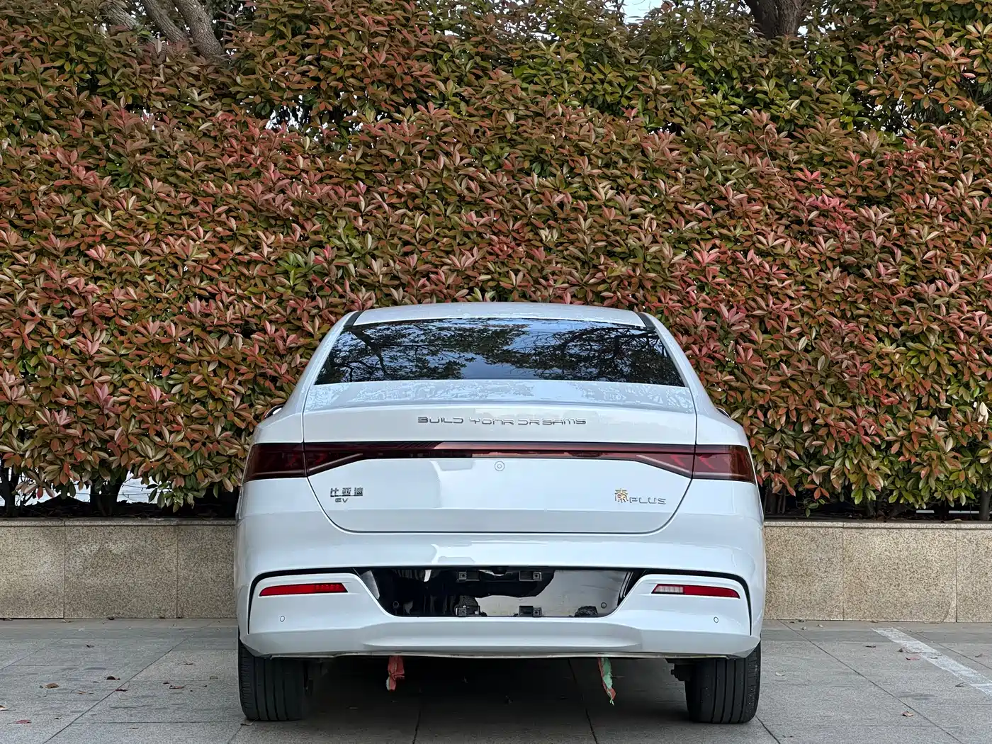 BYD Qin PLUS 2021 EV 400KM Luxury Model фото 14