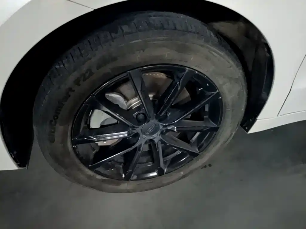 Geely Borui PHEV 2021 2021 1.5T ePro Leading Edition