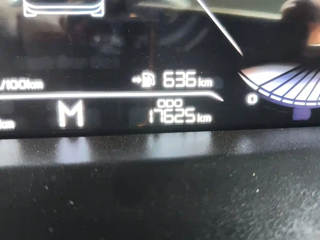 Фото 8 - Geely Emgrand