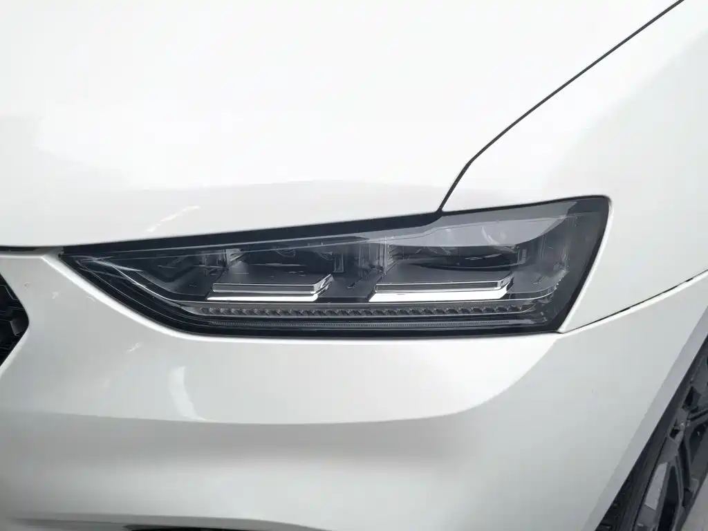 WEY VV7 2017 2017 2.0T Flagship