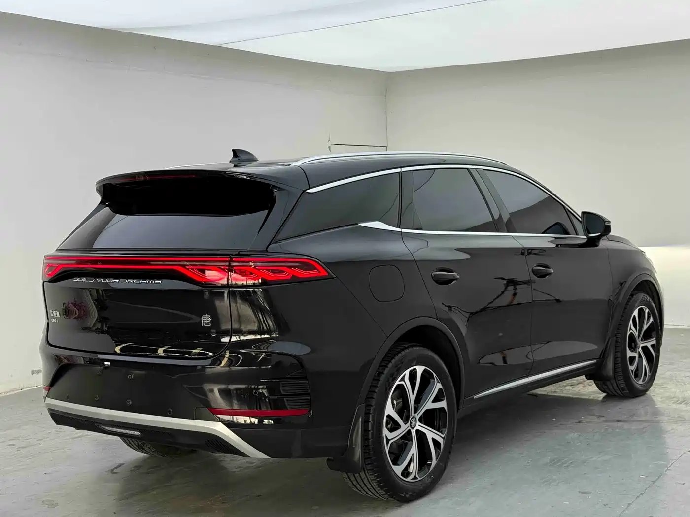 BYD Tang New Energy 2026 2025 DM-i 115KM Prestige Type