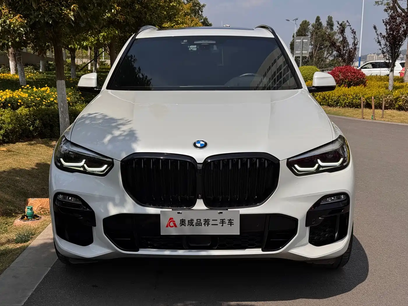 BMW X5 (Import) 2019 xDrive40i Exclusive M Sport Package фото 2