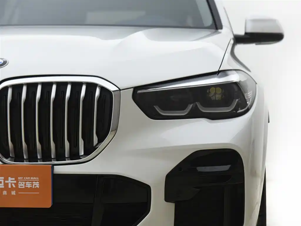 BMW X5 (Import) 2022 xDrive30i M Sport Package фото 13