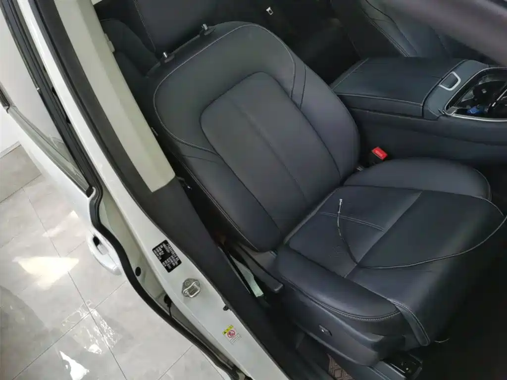 GAC Trumpchi Trumpchi M8 2021 Master Series 390T Prestige Edition фото 25