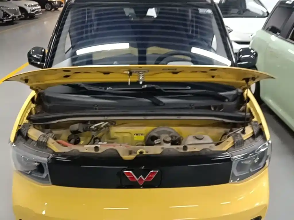 Фото 20 - Wuling Motors Hongguang MINIEV