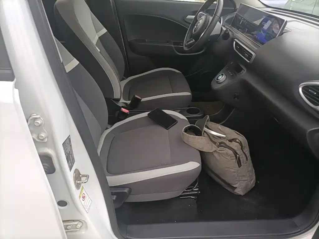 Ora White Cat 2020 2020 360km Luxury Model