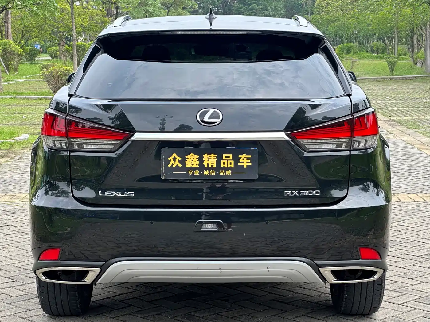 LEXUS RX