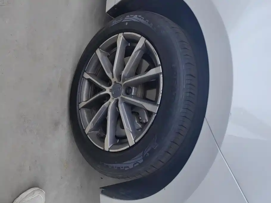 Geely Borui 2021 2021 1.8T Pilot Edition+