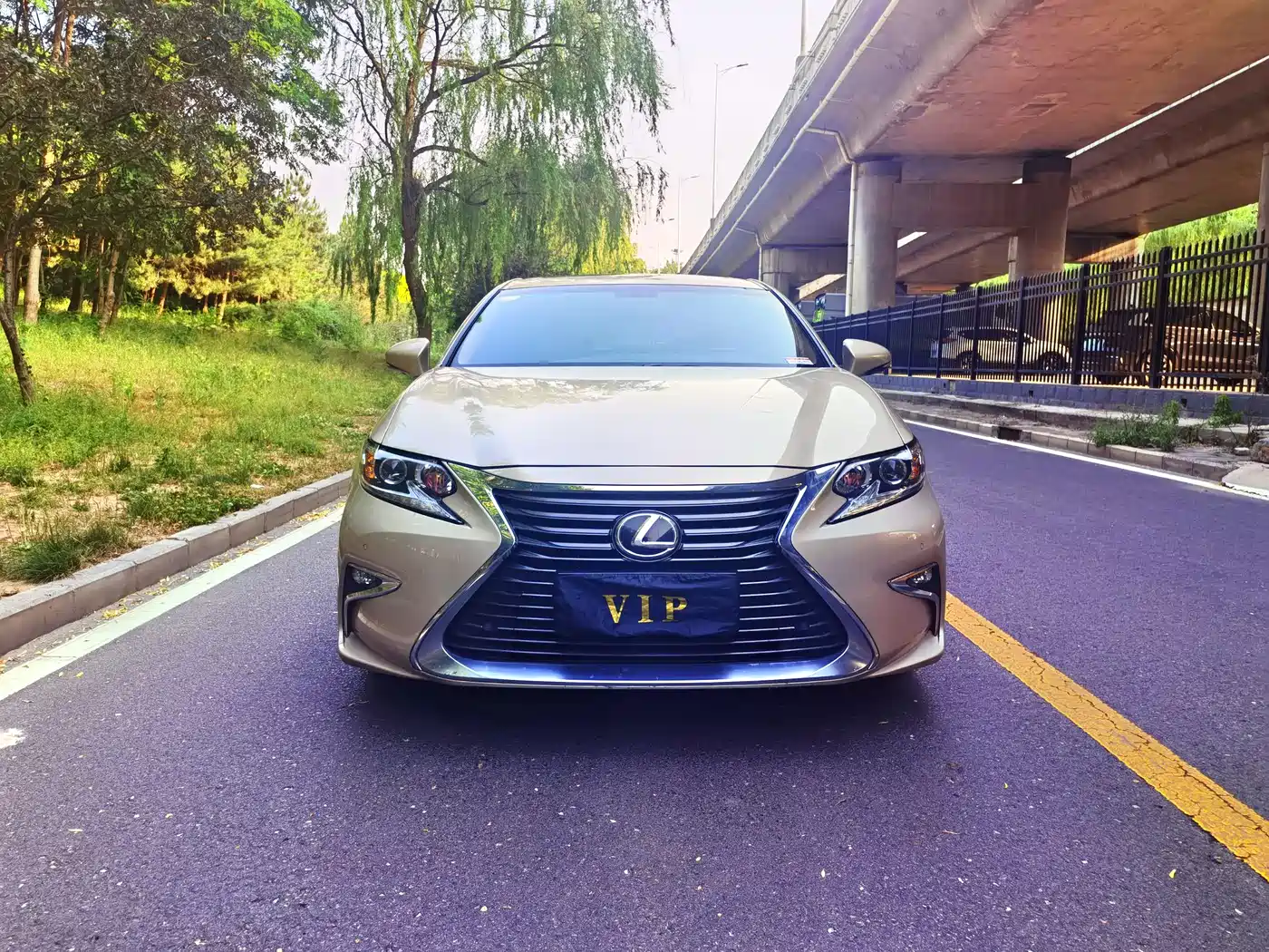 Lexus ES 2015 200 Elite Edition фото 2