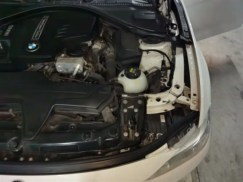 BMW 3 Series 2014 320Li Luxury Design Package фото 22