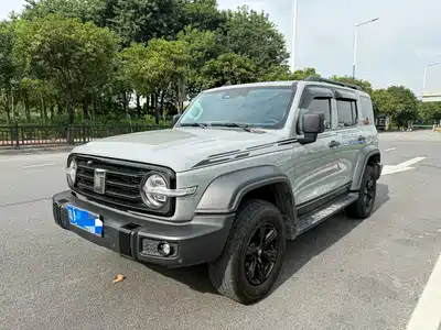 Tank 300