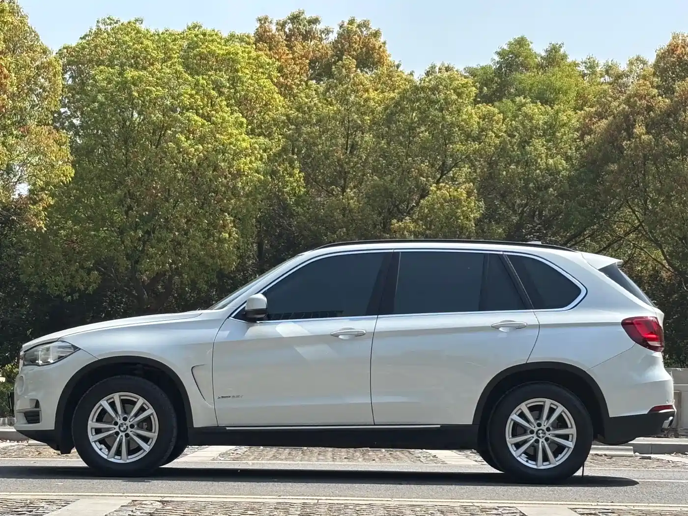 BMW X5 (Import) 2014 xDrive35i Elegance фото 6