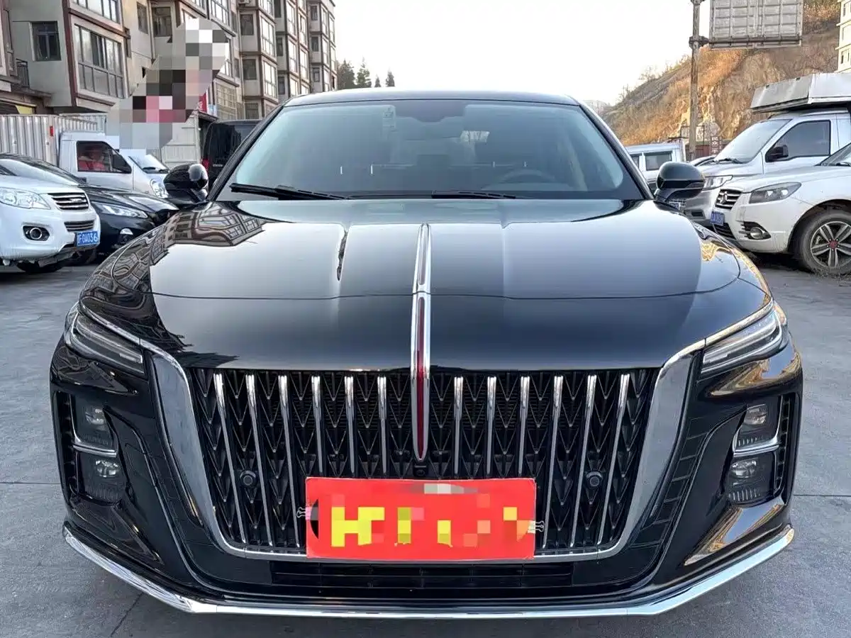 Hongqi H5 2023 1.5T DCT Smart Connect Flag Rhythm фото 3