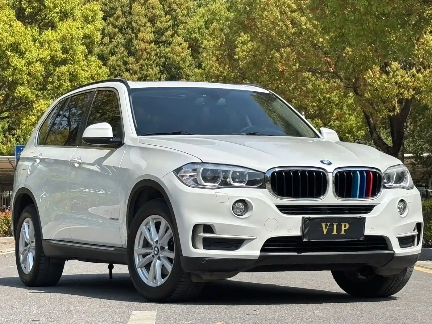 BMW X5 (Import) 2014 xDrive35i Elegance фото 3