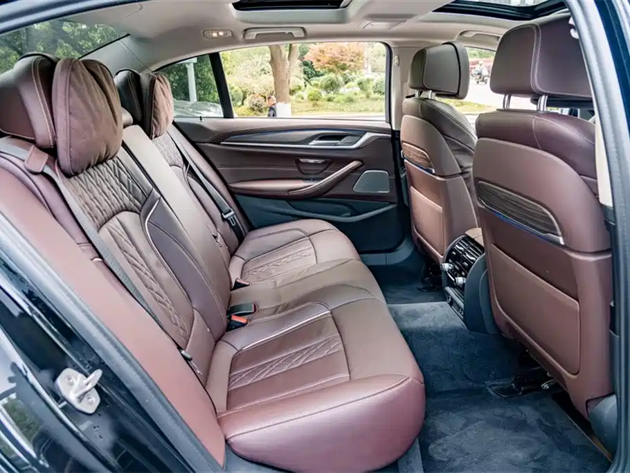 BMW 5 Series 2020 530Li Premium Luxury Package фото 23