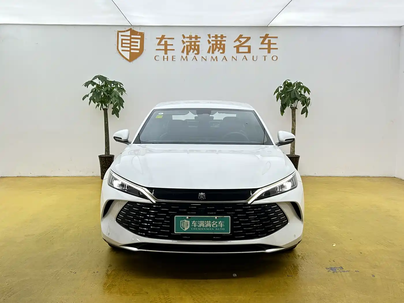 BYD Qin L 2026 2026 DM-i 128KM Progressive