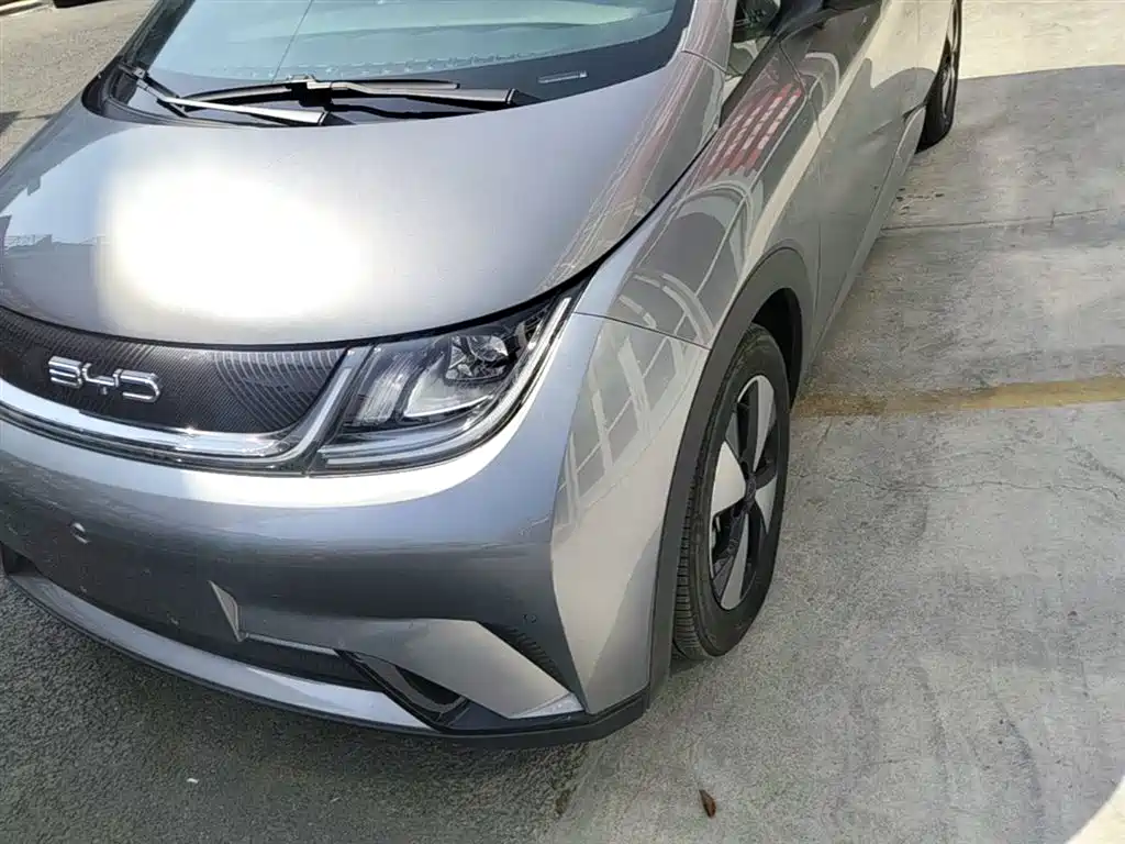 BYD Dolphin 2023 420km Fashion Edition фото 24
