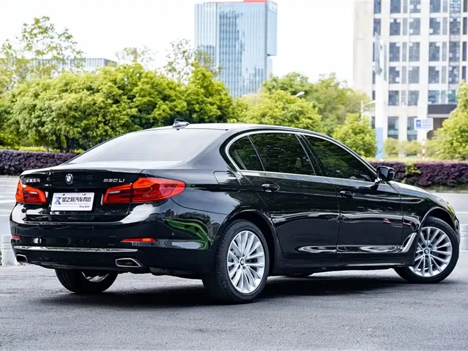 BMW 5 Series 2020 530Li Premium Luxury Package фото 6