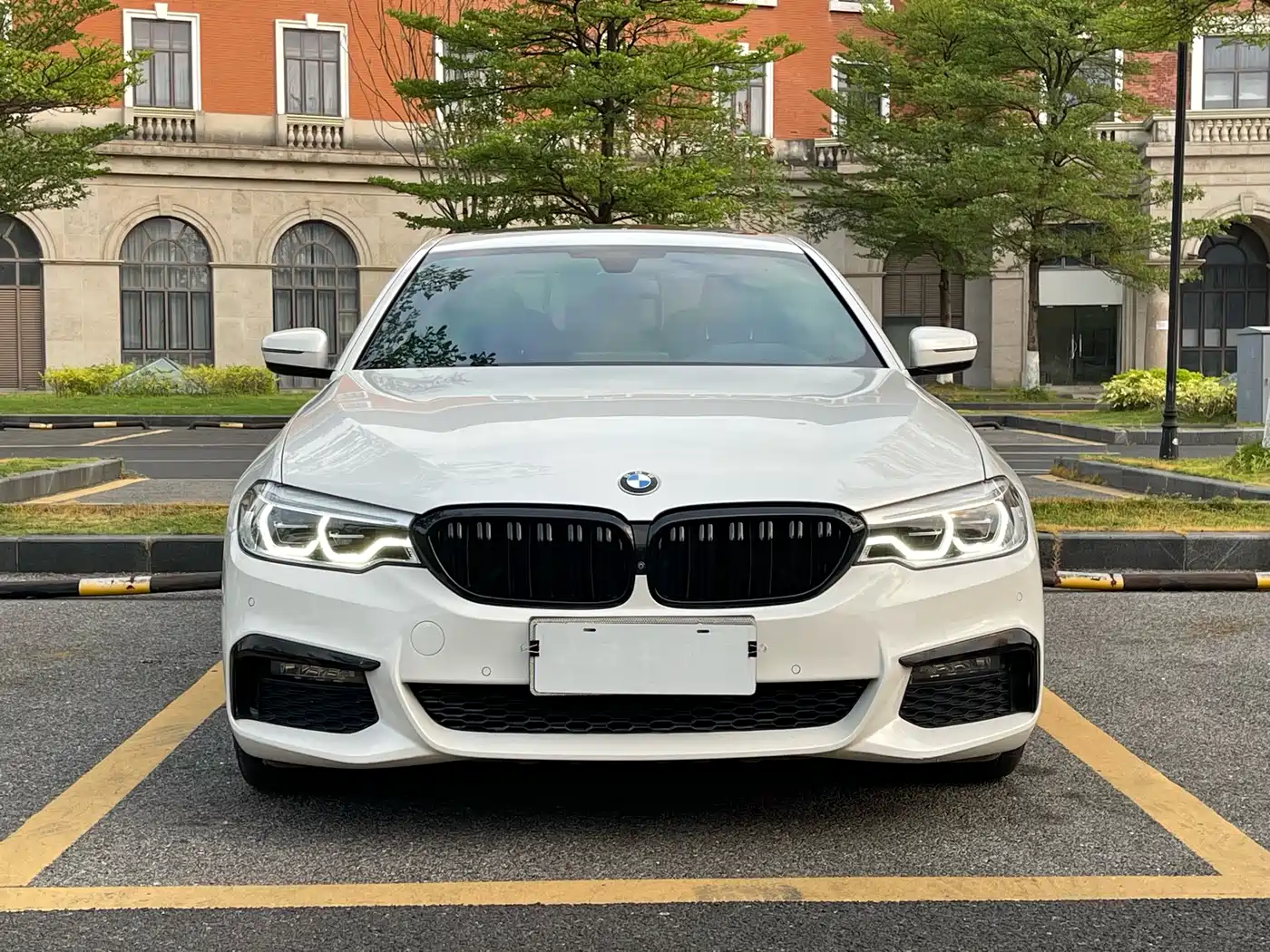 BMW 5 Series 2019 530Li Premium M Sport Package фото 2