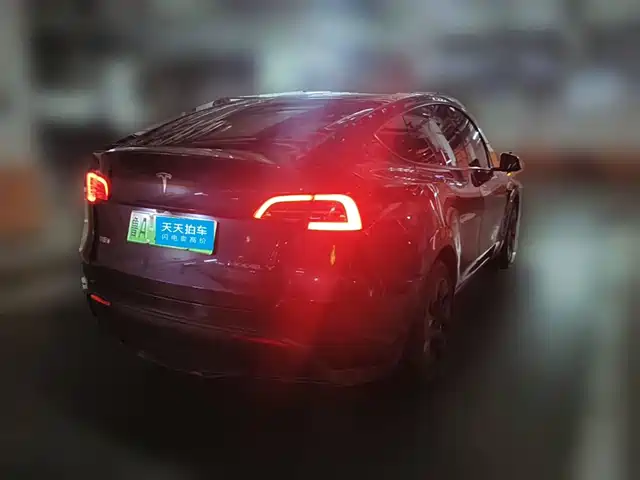 Tesla Model Y 2024 Long Range AWD — фото 2