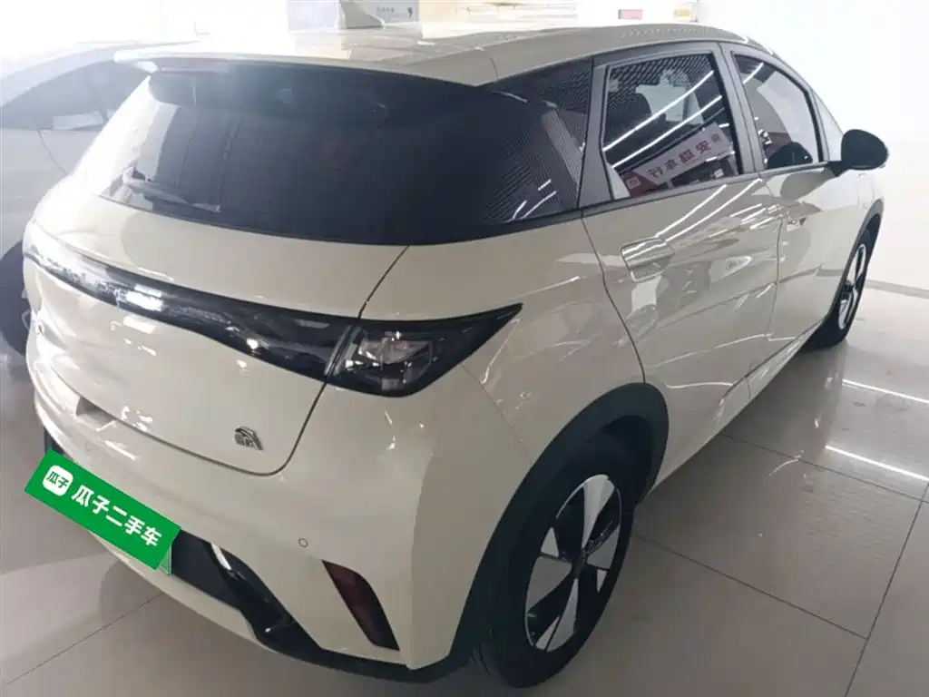 BYD Dolphin 2023 420km Fashion Edition фото 7