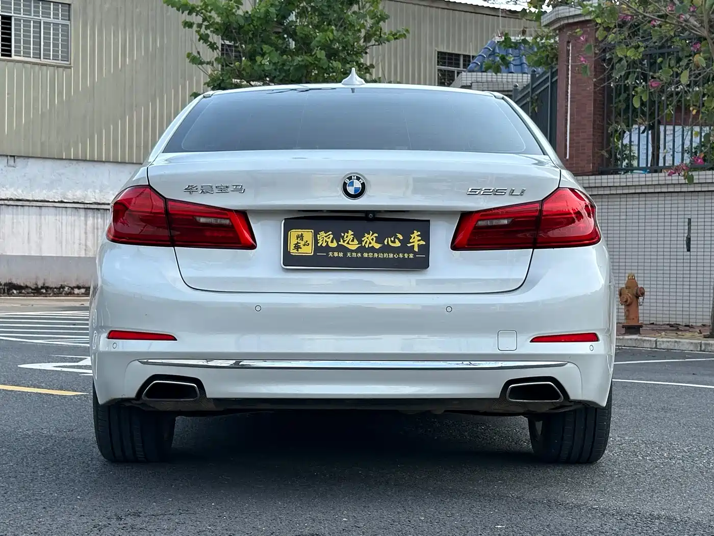 BMW 5 Series 2019 525Li Luxury Package фото 5