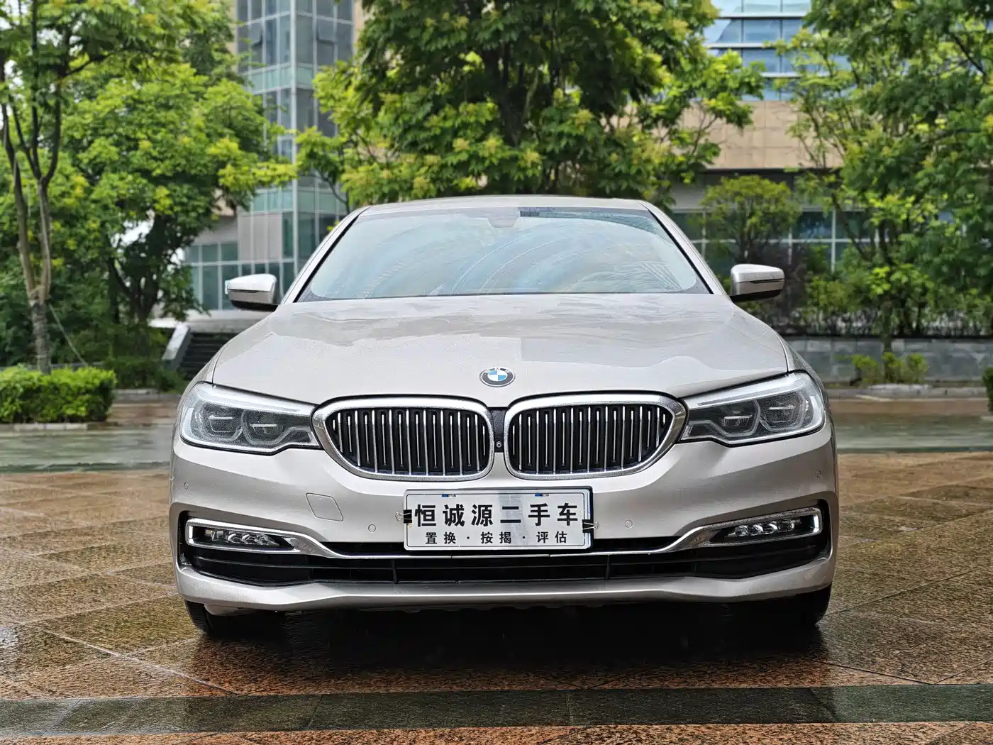 BMW 5 Series 2018 530Li Exclusive Luxury Package фото 3