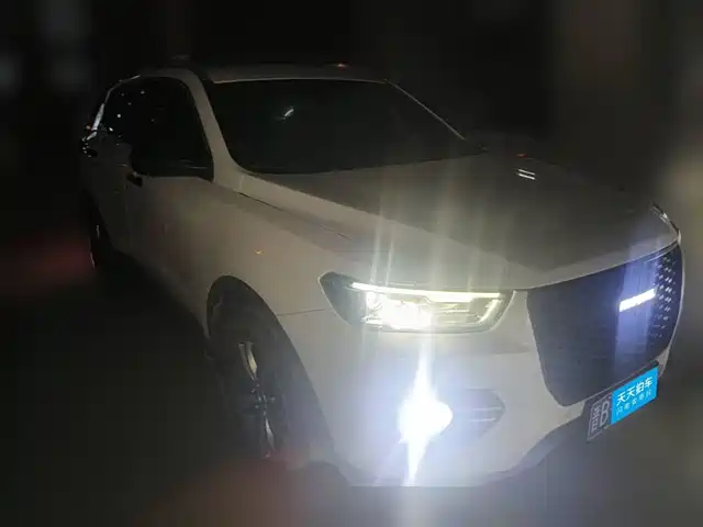 Haval H6 2017 Red Label 2.0T Auto 2WD Smart — фото 3