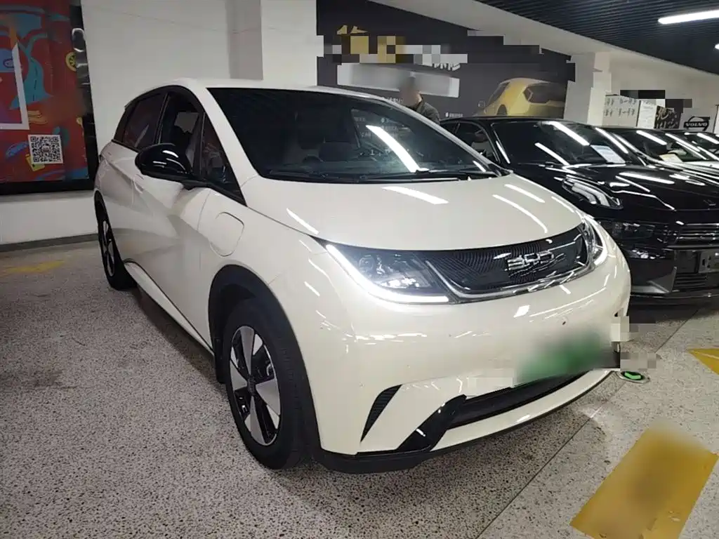 BYD Dolphin 2023 420km Freedom Edition фото 4