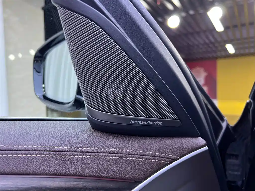 BMW 5 Series 2021 530Li Premium Luxury Package фото 18