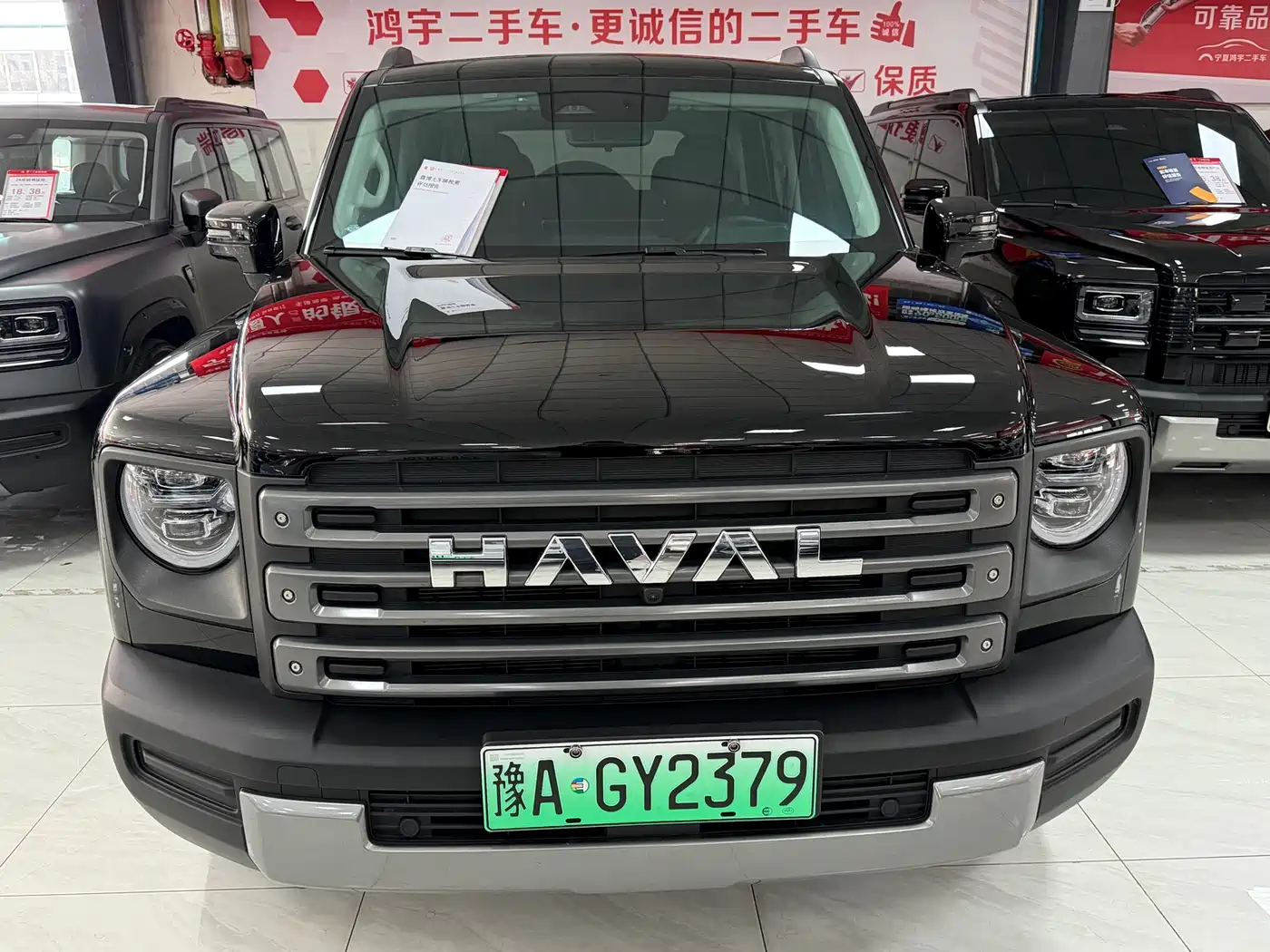 HAVAL RAPTORS NEW ENERGY