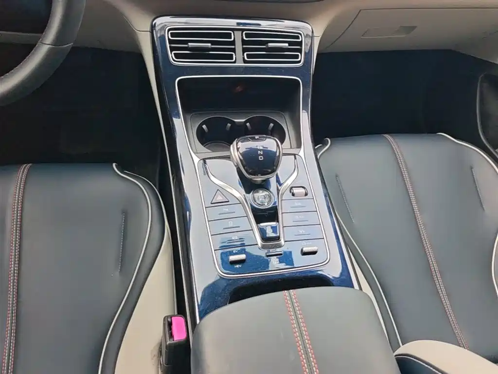 BYD Qin PLUS 2021 DM-i 55KM Flagship фото 14