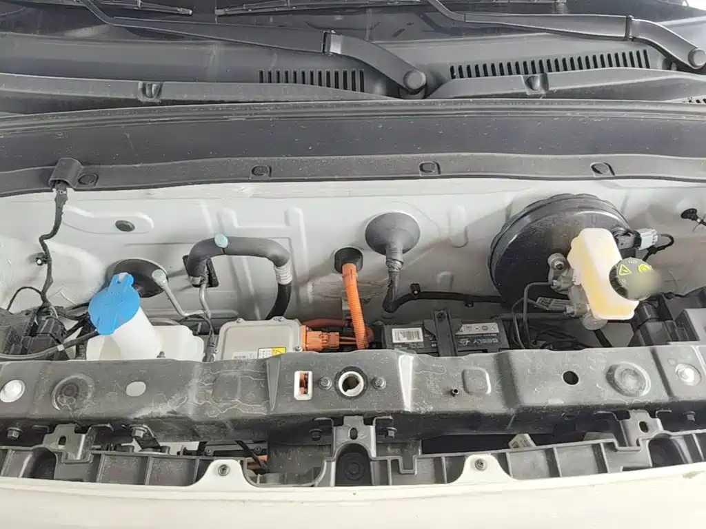 Geely Galaxy Panda 2025 2025 Panda mini 210km Vitality Bear