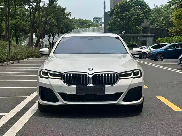 BMW 5 530Li, Представительский, M Спорт-пакет