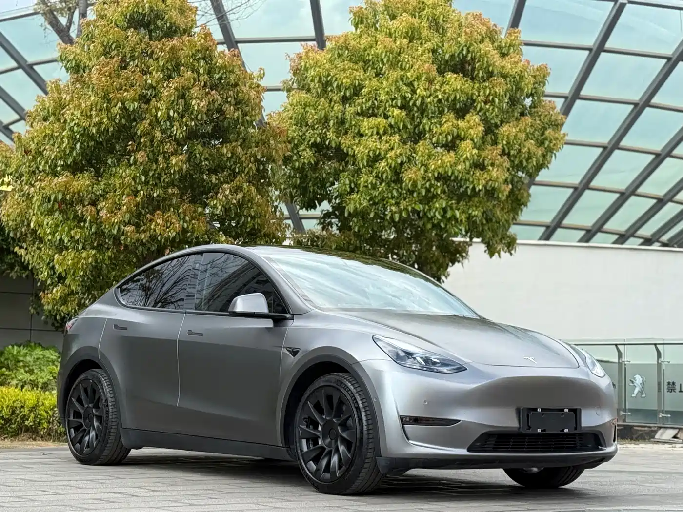 TESLA MODEL Y