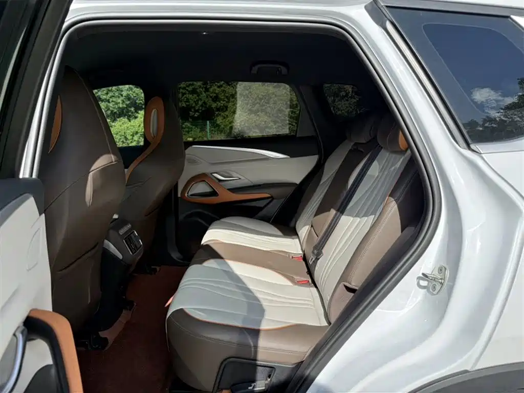 BYD Song Pro New Energy 2022 DM-i 51km Luxury фото 14