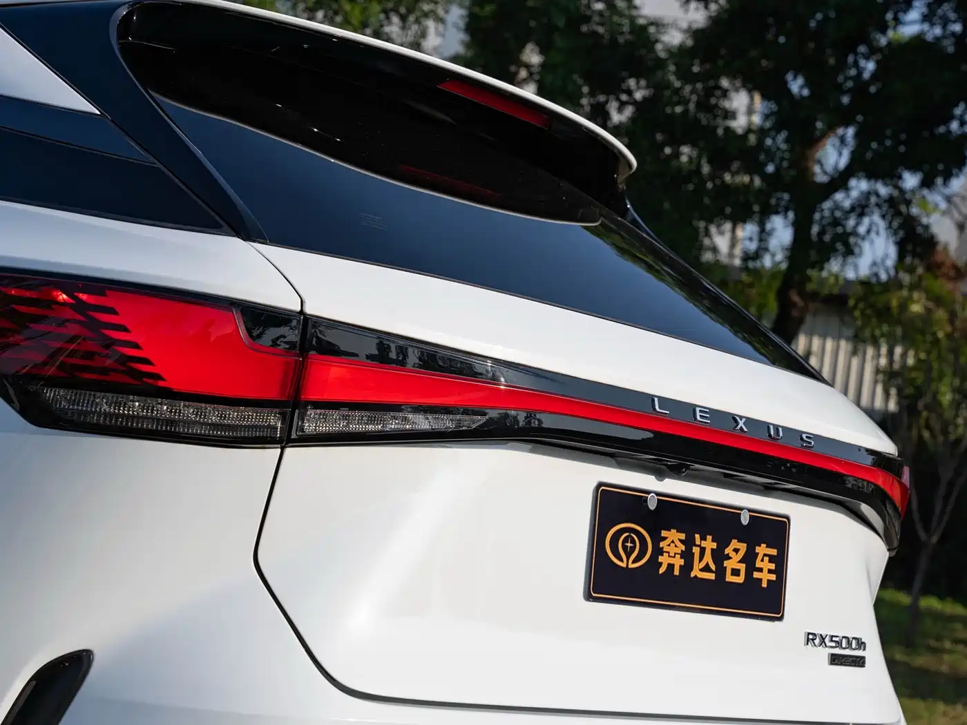 LEXUS RX