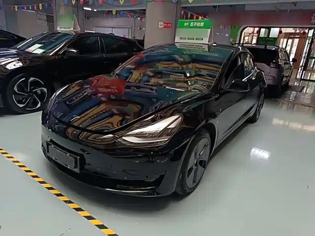 Tesla Model 3 Задний привод
