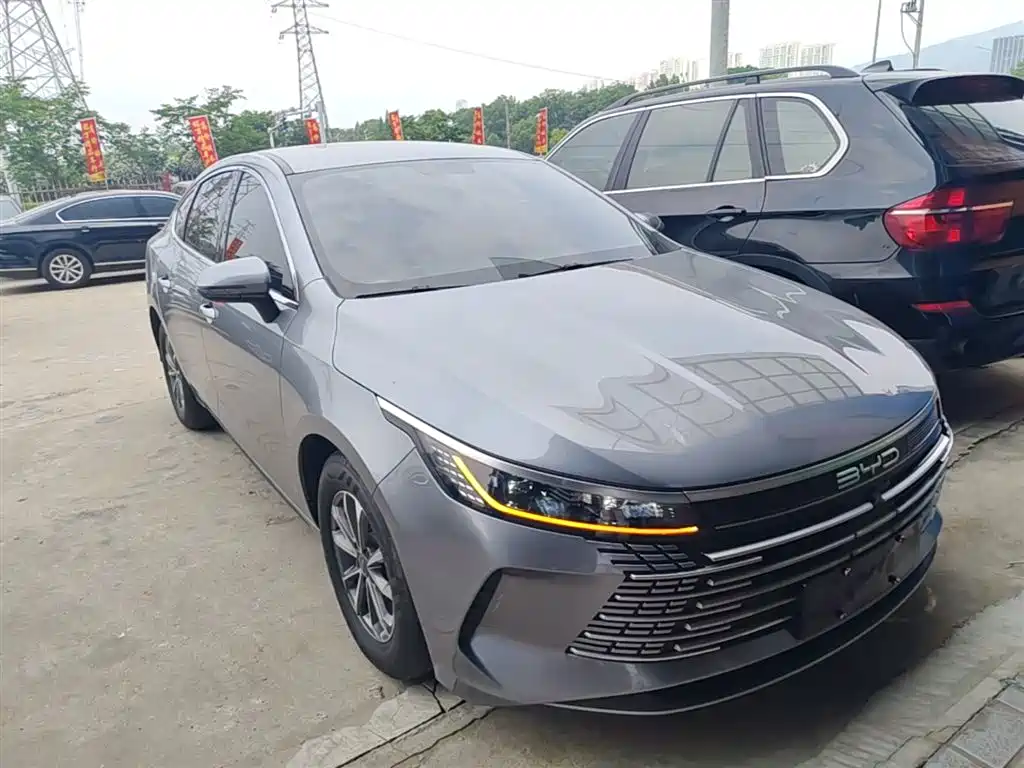 BYD Destroyer 05 2023 Champion Edition DM-i 55KM Luxury фото 4