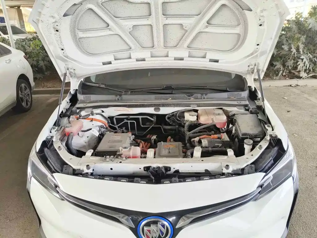 Фото 3 - Buick Velite 6