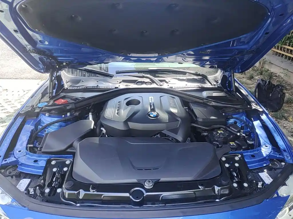 BMW 3 Series 2018 320Li Leading M Sport Package фото 20