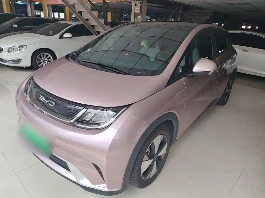 Фото 2 - BYD Dolphin