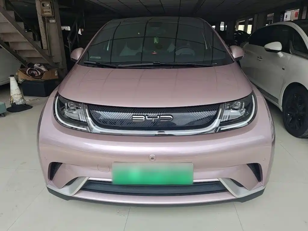 Фото 3 - BYD Dolphin