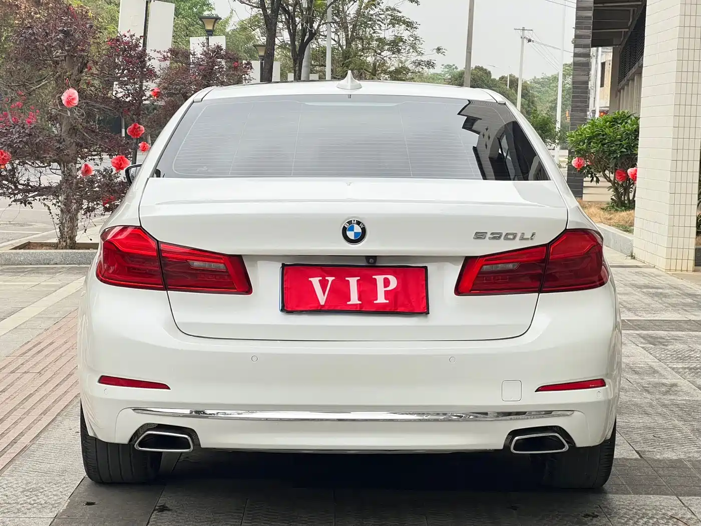 BMW 5 Series 2019 530Li Leading Luxury Package фото 5