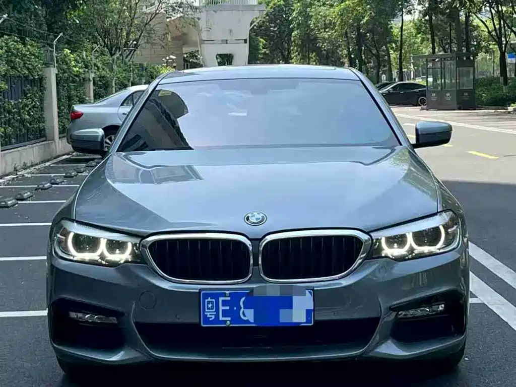 BMW 5 Series (Import) 2018 525i M Sport Package фото 3