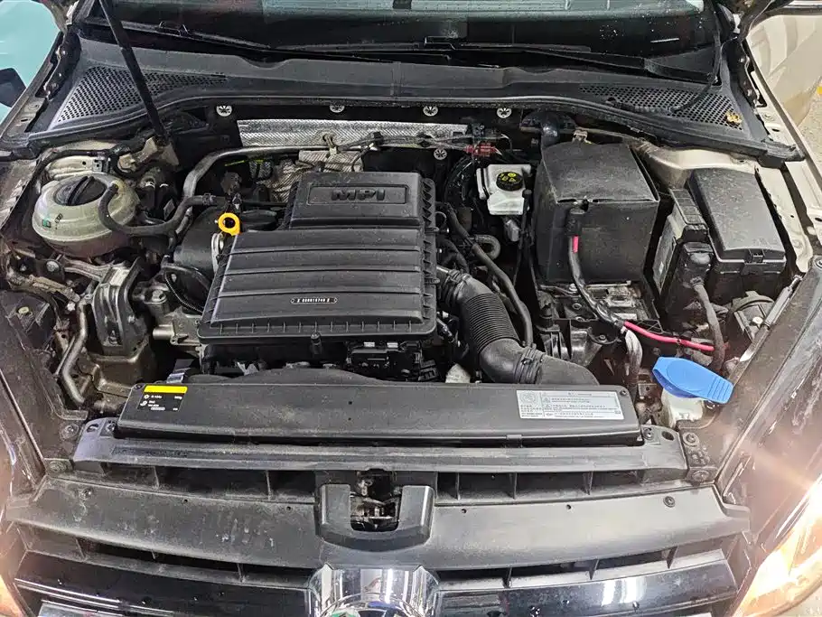 Volkswagen Golf 2017 1.6L Auto Comfort Millionth Edition фото 10